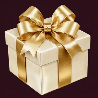 Ribboned gift box — Spinobon