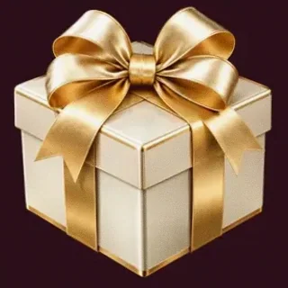 Gift box — Spinobon