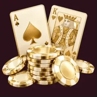 Poker playing cards — Spinobon