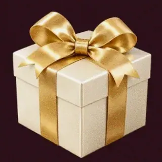 Wrapped gift box — Spinobon