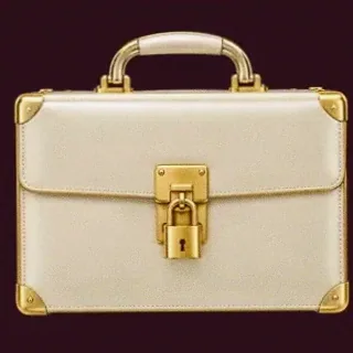 Locked leather briefcase — Spinobon