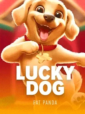 Lucky Dog at Spinobon