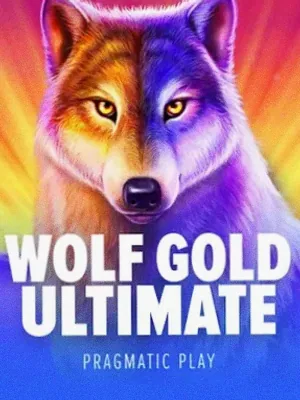 Wolf Gold Ultimate at Spinobon