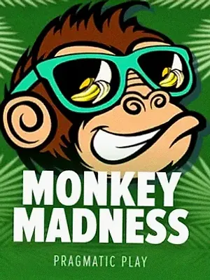 Monkey Madness at Spinobon